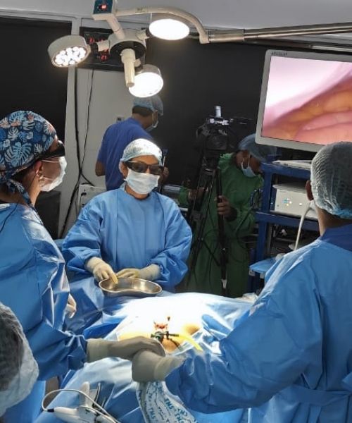 Dr. Uma Mishra - Advanced Hands-on Laparoscopic Surgery Training in Raipur (4)