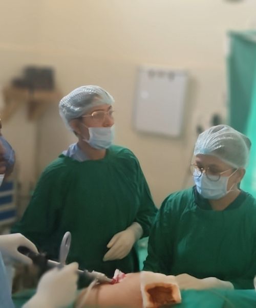 Dr. Uma Mishra - Advanced Hands-on Laparoscopic Surgery Training in Raipur (8)